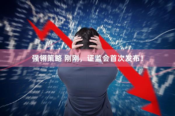 强翎策略 刚刚，证监会首次发布！