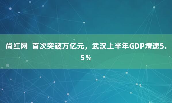 尚红网  首次突破万亿元，武汉上半年GDP增速5.5％
